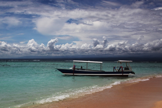 三等奖 综合部 王雨 梦幻蓝梦岛.jpg
